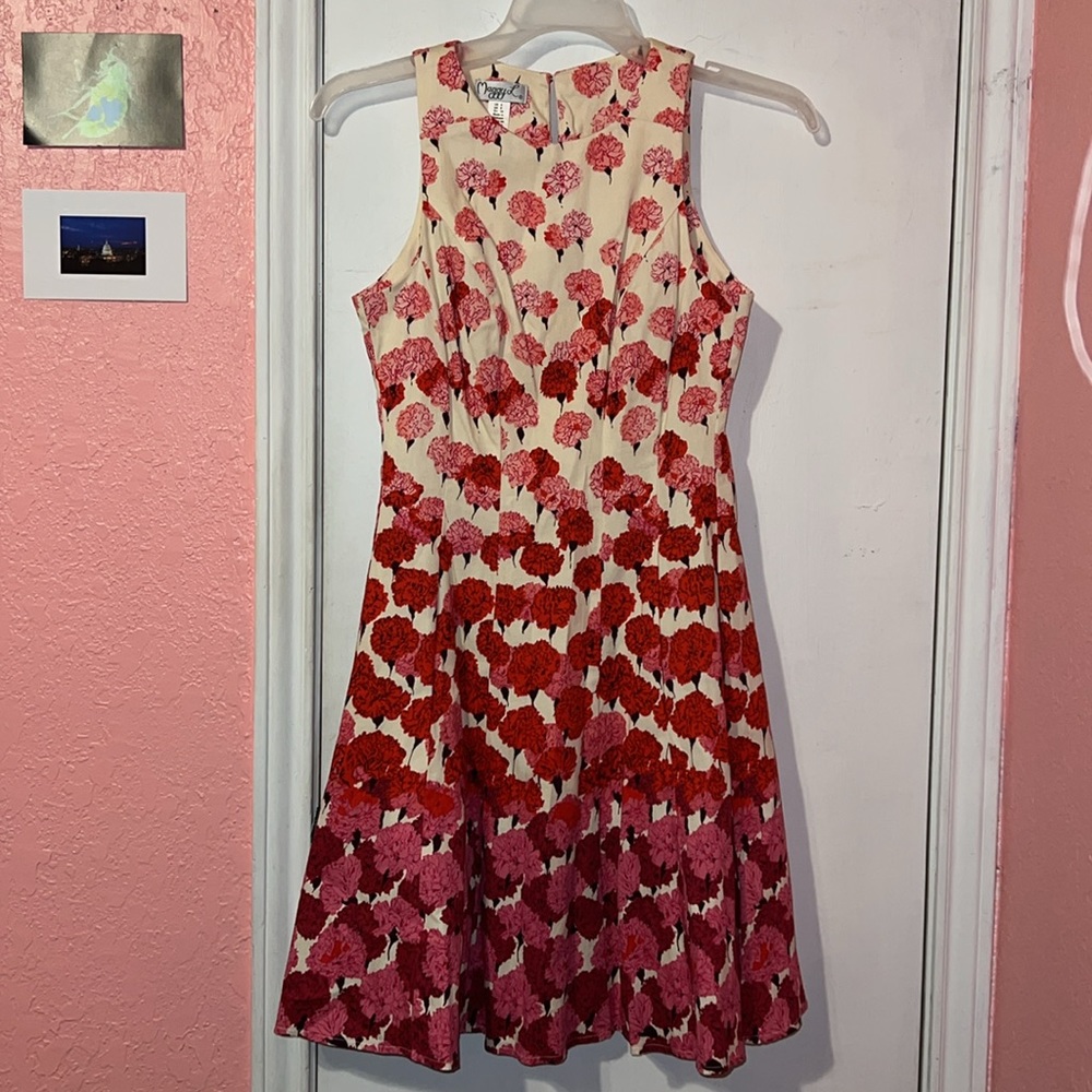 Gradient Carnation Dress🌸